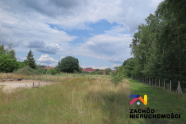 Działka budowlana z projektem domu w Gronowie